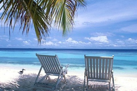 Buone Vacanze